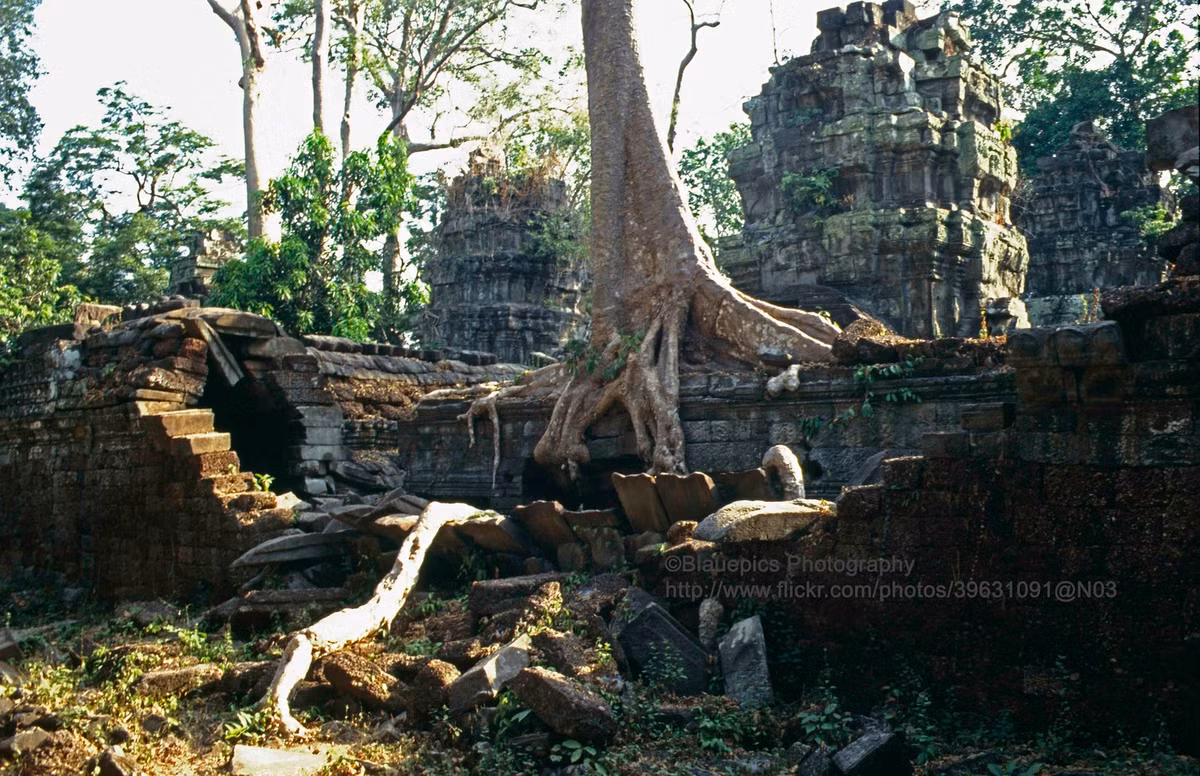 Đền Ta Prohm, công trình nằm ở Đông Angkor Thom, nổi tiếng với những cây cổ thụ mọc trùm lên phế tích.