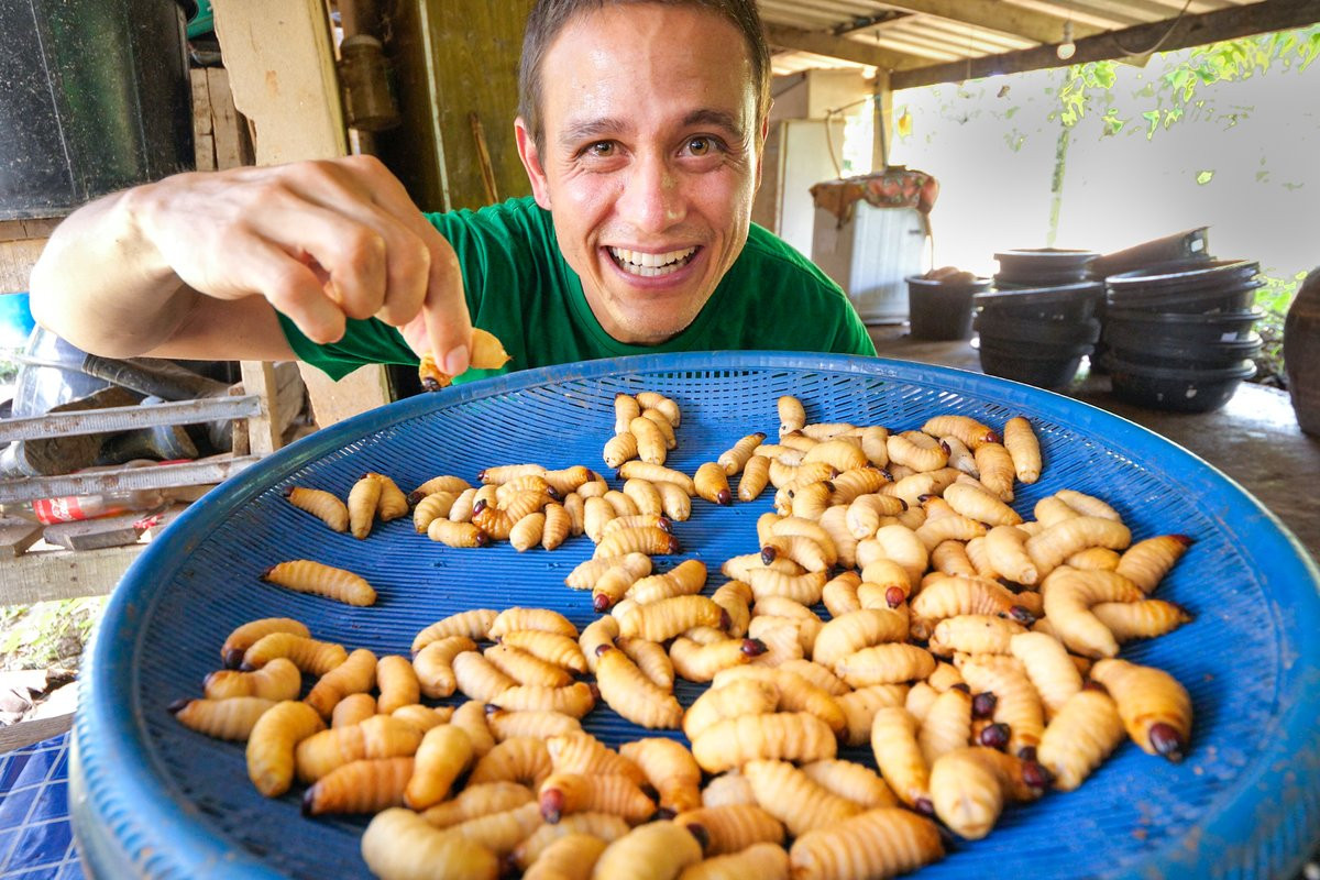 Theo các nhà nghiên cứu, ngoài giá trị dinh dưỡng, đuông dừa còn có một ưu điểm lớn so với các nguồn protein và chất béo khác mà các phi hành gia có thể dùng trong chuyến bay: Chúng dễ sinh sản và phát triển trong điều kiện không gian hẹp và đóng kín. Ảnh: Mark Wiens/Twitter.