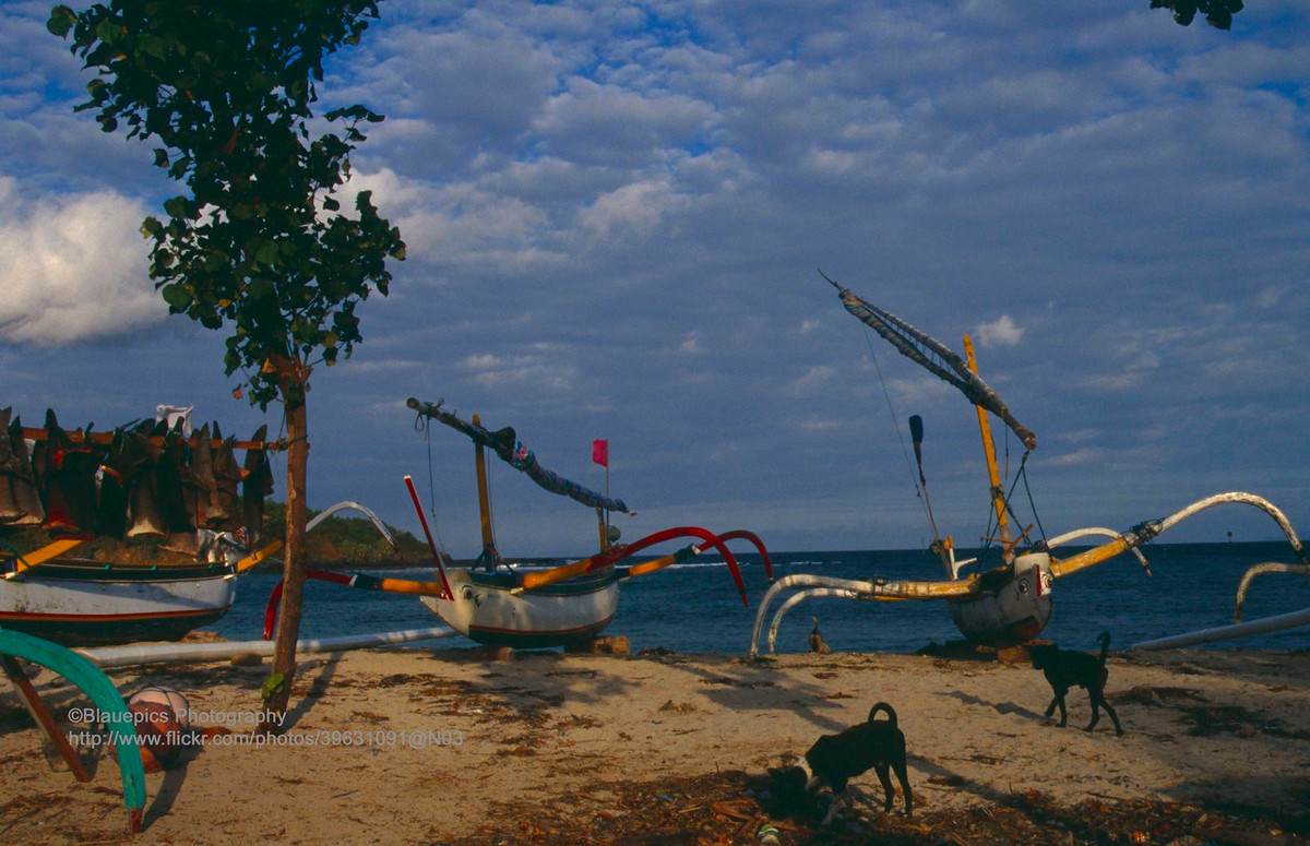 Những chiếc thuyền jukung, kiểu thuyền truyền thống của Indonesia, nằm trên bãi biển Padangbai.