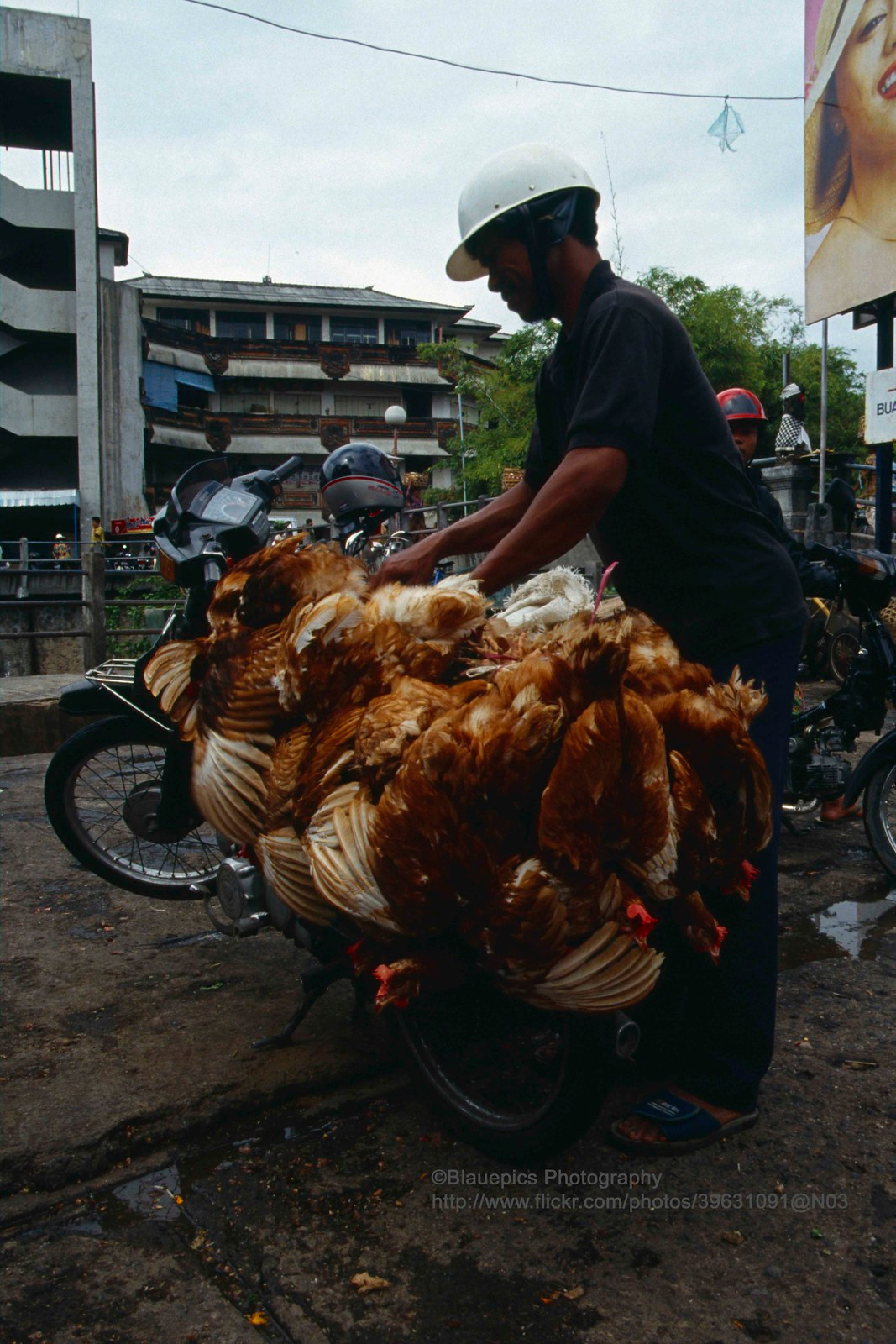 Người bán gà trong khu chợ ở Denpasar, thành phố lớn nhất đảo, nằm ở cực Nam Bali.