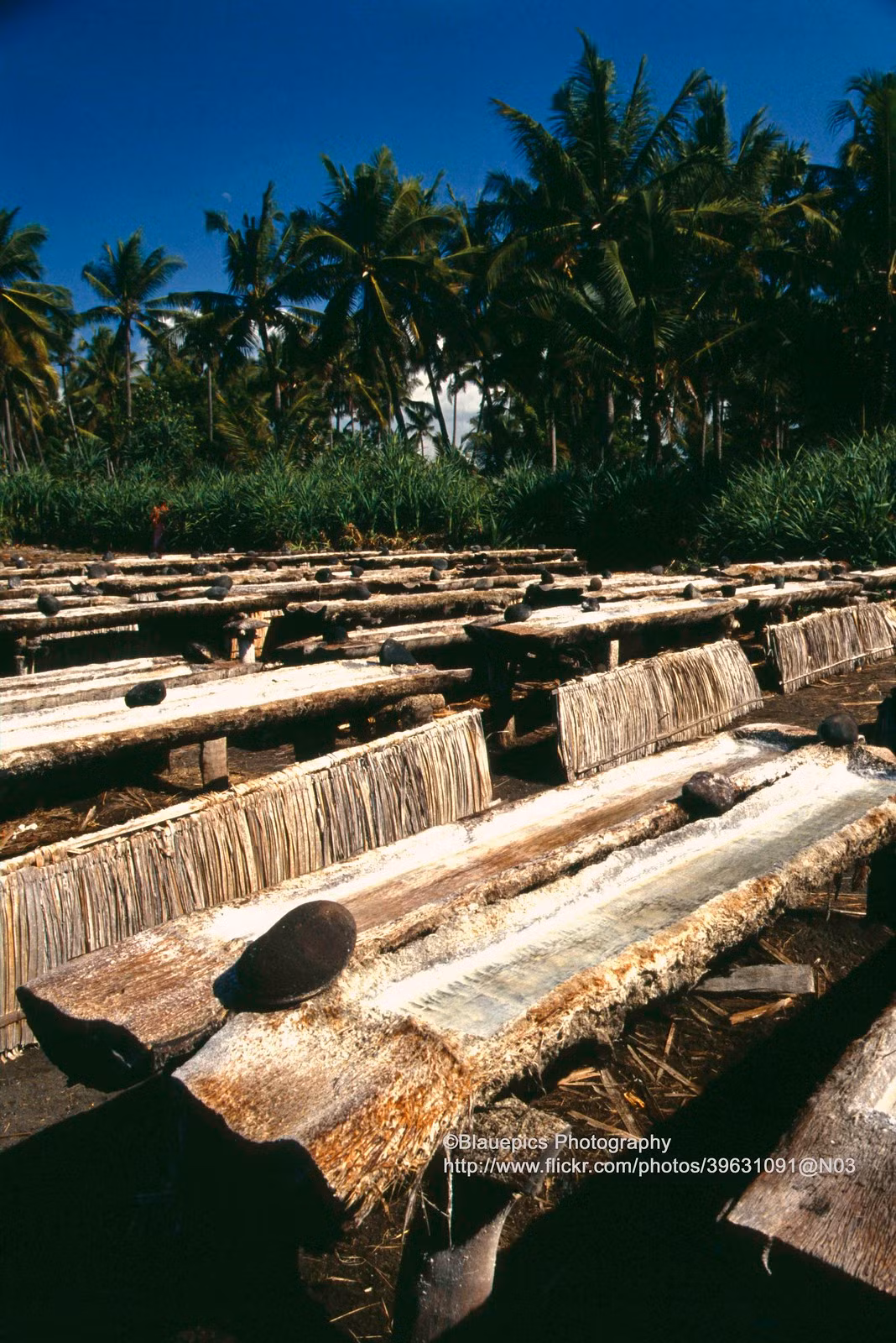 Doc la cuoc song o thien duong du lich Bali nam 1991 (2)-Hinh-2