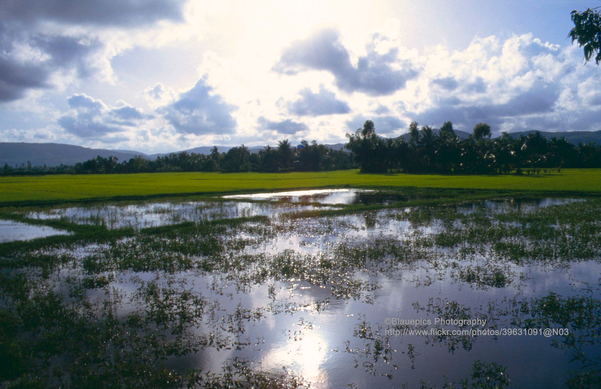 Cảnh quan trên đường từ Quảng Ngãi đi Đà Nẵng.