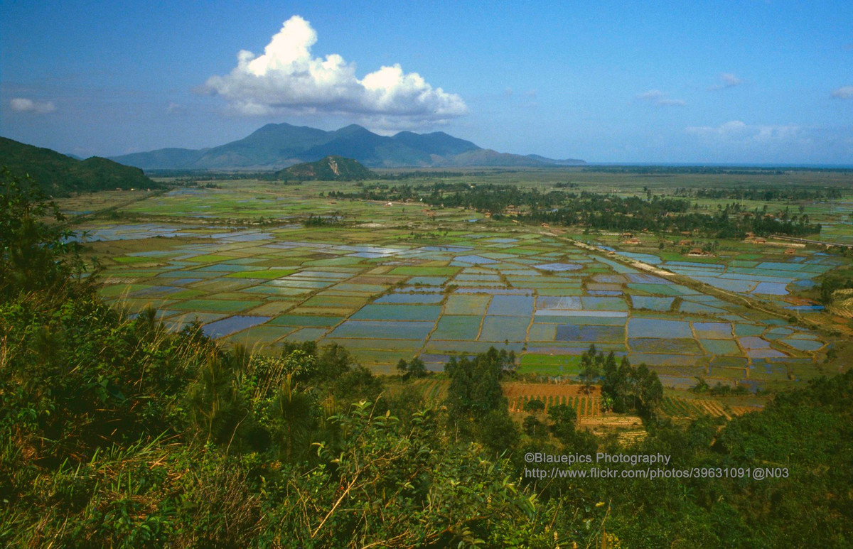 Những thửa ruộng bên đường đến thành phố Huế.