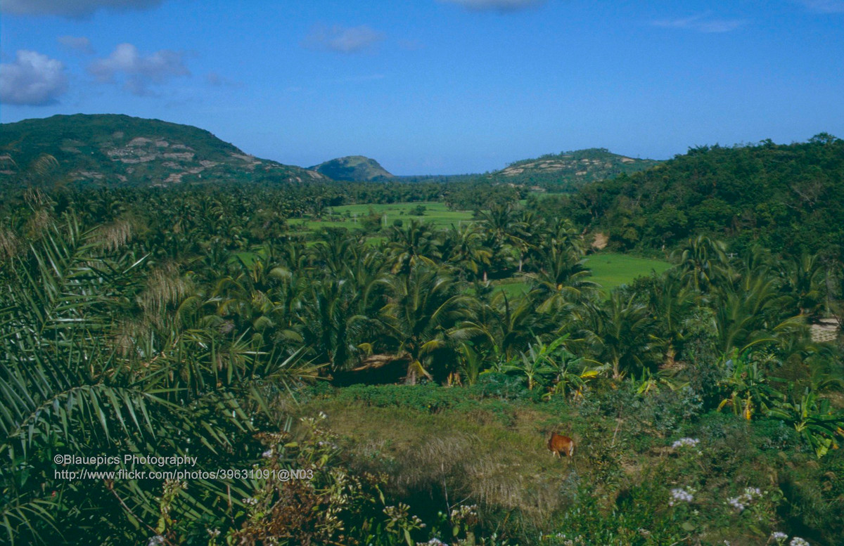Khung cảnh thôn quê trên đường tới Quảng Ngãi.