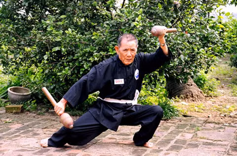 Đây là song chùy. Ảnh: Báo Bình Định.