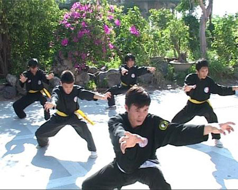 Trong 18 ban võ nghệ thì quyền thuật có thể nói là căn bản nhất. Phần nhiều cách đánh các loại binh khí cũng từ quyền thuật mà phát triển ra. Trong ảnh là một thế của bài Lão hổ thượng sơn của võ cổ truyền Việt Nam. Ảnh: Internet.