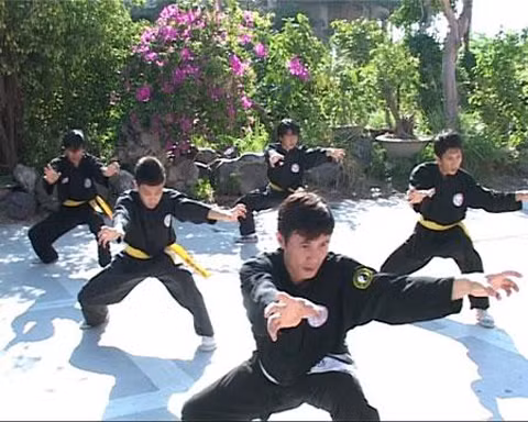 Trong 18 ban võ nghệ thì quyền thuật có thể nói là căn bản nhất. Phần nhiều cách đánh các loại binh khí cũng từ quyền thuật mà phát triển ra. Trong ảnh là một thế của bài Lão hổ thượng sơn của võ cổ truyền Việt Nam. Ảnh: Internet.