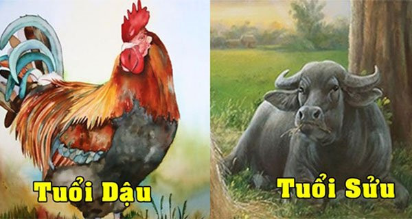 Quý nhân báo mộng vàng: 4 tuổi tài lộc cuồn cuộn chảy vào nhà 2023 Quy nhan bao mong vang: 4 tuoi tai loc cuon cuon chay vao nha 2023