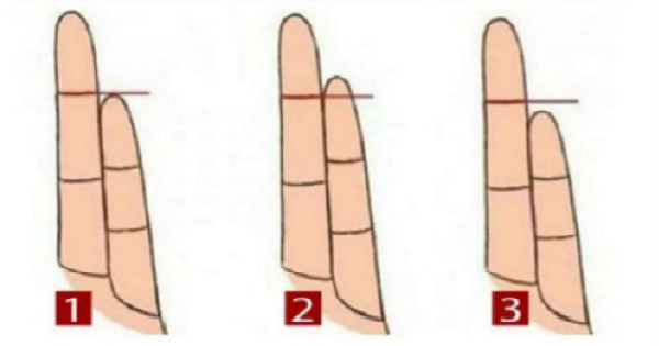 Nhìn độ dài ngắn ngón út biết tương lai giàu sang hay bần hàn Nhin do dai ngan ngon ut biet tuong lai giau sang hay ban han