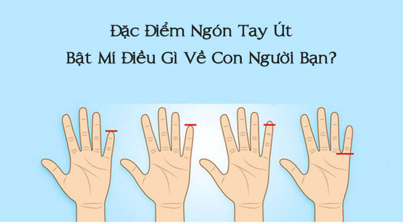 Chiều dài ngón út nằm giữa đốt thứ nhất và thứ hai của ngón đeo nhẫn: Những người có ngón tay út nằm giữa đốt thứ nhất và thứ hai của ngón đeo nhẫn thường có tính cách e dè, hay ngại ngùng, không giỏi trong việc thể hiện cảm xúc bản thân trước mặt mọi người.