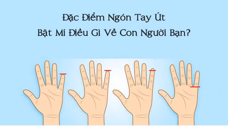 Chiều dài ngón út nằm giữa đốt thứ nhất và thứ hai của ngón đeo nhẫn: Những người có ngón tay út nằm giữa đốt thứ nhất và thứ hai của ngón đeo nhẫn thường có tính cách e dè, hay ngại ngùng, không giỏi trong việc thể hiện cảm xúc bản thân trước mặt mọi người.