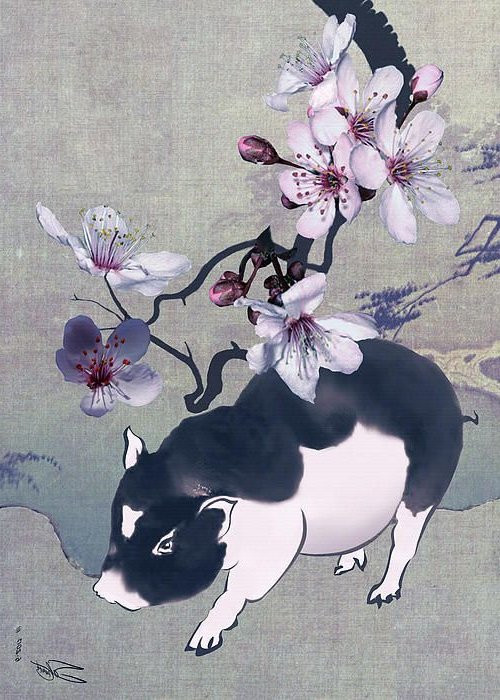 Tuy nhiên, càng có tuổi, họ càng tích lũy được nhiều kinh nghiệm sống, cởi mở hơn, xây dựng được các mối quan hệ bền chặt với mọi người.