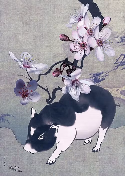 Tuy nhiên, càng có tuổi, họ càng tích lũy được nhiều kinh nghiệm sống, cởi mở hơn, xây dựng được các mối quan hệ bền chặt với mọi người.