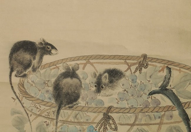 Quý Mão 2023: 5 tuổi bị Thái Tuế phong ấn kho tiền, tài vận lao đao - Hình 2 Quy Mao 2023: 5 tuoi bi Thai Tue phong an kho tien, tai van lao dao-Hinh-2