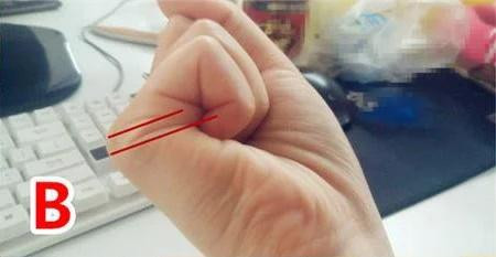 Người này sống rất quy củ, thích lẽ phải, ghét sự a dua, ninh nọt. Tuy nhiên, chính vì sự nguyên tắc đó mà đôi khi họ bị đánh giá là làm việc cứng nhắc, dập khuôn.