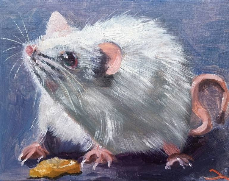 Trong tháng, con giáp này sẵn sàng mở lòng với người khác, chịu khó lắng nghe, tiếp thu, học hỏi kiến thức mới. Chính Tài ghé thăm nên tình hình tài chính của tuổi Tý ổn định và ngày càng tốt lên.