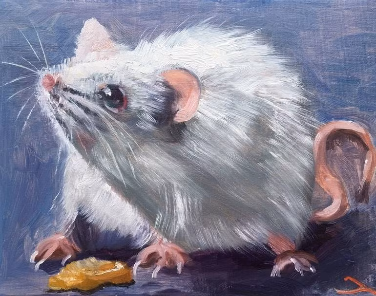 Trong tháng, con giáp này sẵn sàng mở lòng với người khác, chịu khó lắng nghe, tiếp thu, học hỏi kiến thức mới. Chính Tài ghé thăm nên tình hình tài chính của tuổi Tý ổn định và ngày càng tốt lên.