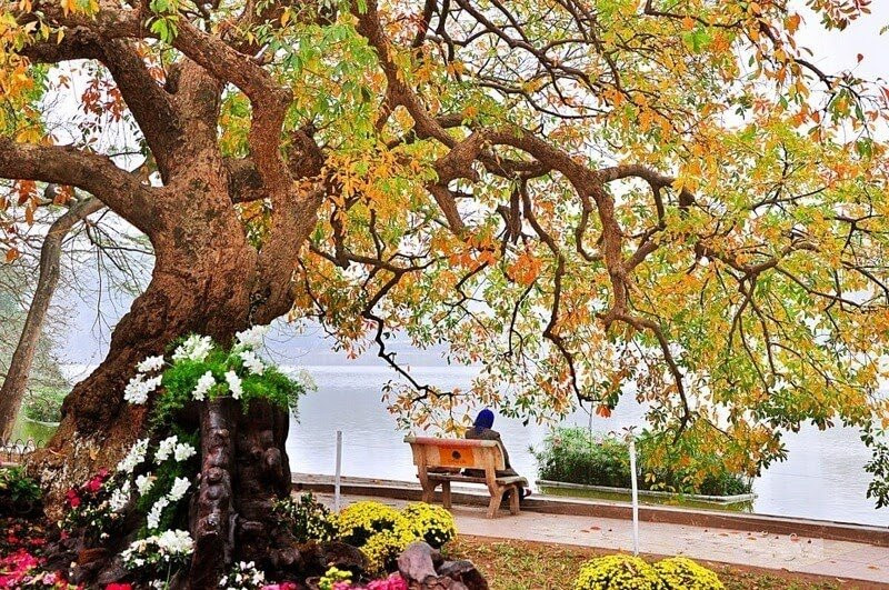 Theo Lịch vạn niên, tiết Lập Thu 2022 bắt đầu vào thứ Hai ngày 8/8/2022 dương lịch (11/7 âm lịch) và kết thúc vào thứ Hai, ngày 22/8/2022 dương lịch (25/7 âm lịch). Ngày Lập Thu là ngày đầu tiên của tiết Lập Thu. 