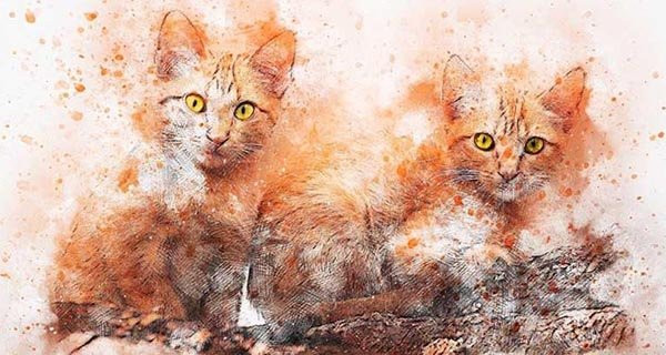 5 tháng cuối 2022: 4 con giáp Ngọc Hoàng ban lộc, bộn tiền đón Tết to - Hình 2 5 thang cuoi 2022: 4 con giap Ngoc Hoang ban loc, bon tien don Tet to-Hinh-2