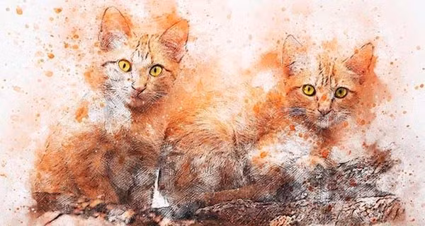 5 thang cuoi 2022: 4 con giap Ngoc Hoang ban loc, bon tien don Tet to-Hinh-2