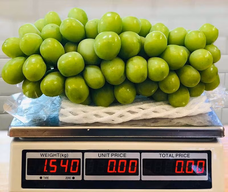Nho sua Han Quoc 1,2 trieu/kg, moi tuan nhap 3 tan khong du ban-Hinh-2