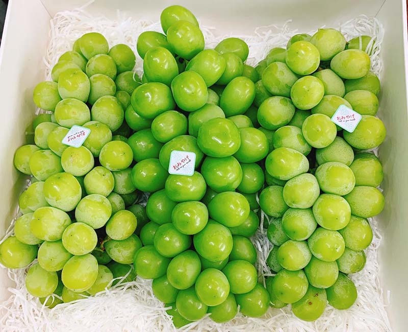 Nho sua Han Quoc 1,2 trieu/kg, moi tuan nhap 3 tan khong du ban-Hinh-3