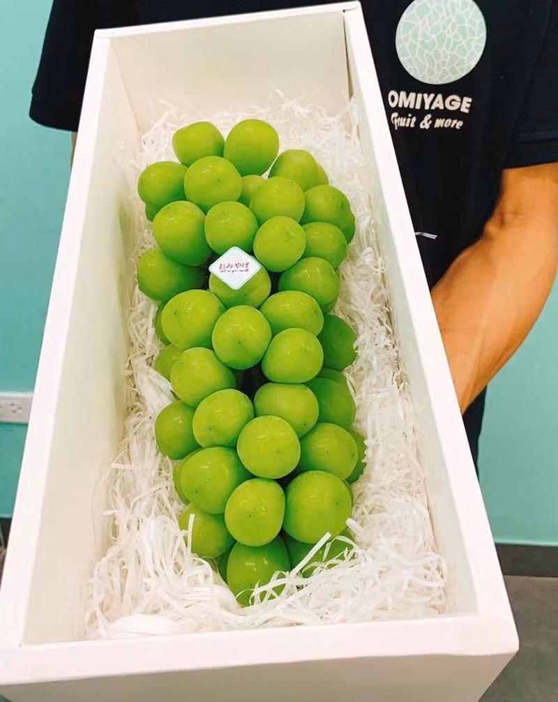 Nho sua Han Quoc 1,2 trieu/kg, moi tuan nhap 3 tan khong du ban