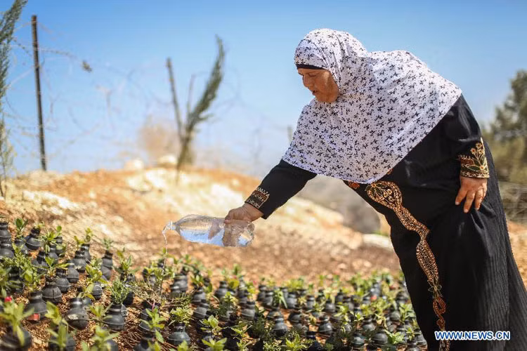 Vườn hoa Bilin cũng nhằm tưởng niệm ông Bassem Abu Rahmeh, một lãnh đạo biểu tình của người Palestine đã thiệt mạng năm 2009 vì lựu đạn hơi cay.