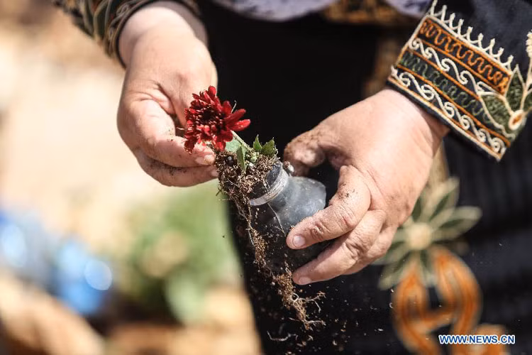 Làng Bilin đã trở thành biểu tượng của cuộc biểu tình của người Palestine chống lại các chính sách của Israel ở Bờ Tây.