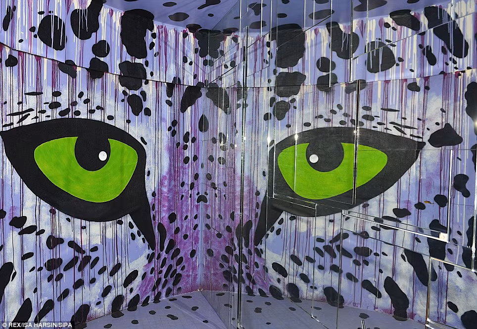 ... nhưng du khách chỉ có một tháng để chiêm ngưỡng.