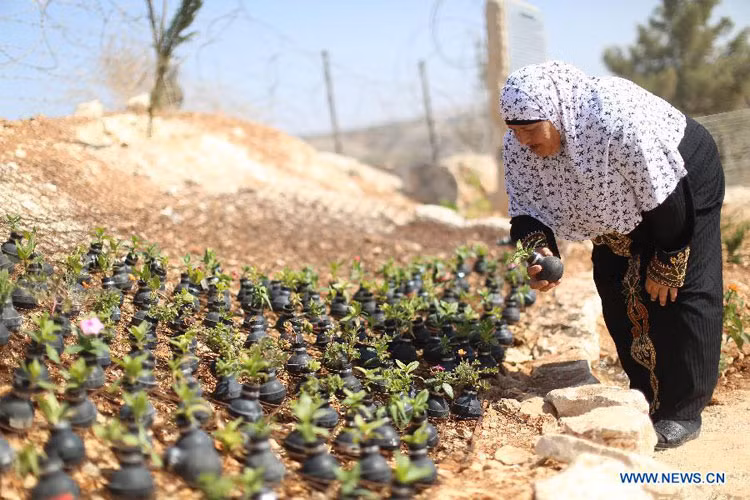 ... và đôi khi họ đạn thật với giải thích là để để chống lại việc những người biểu tình Palestine ném đá