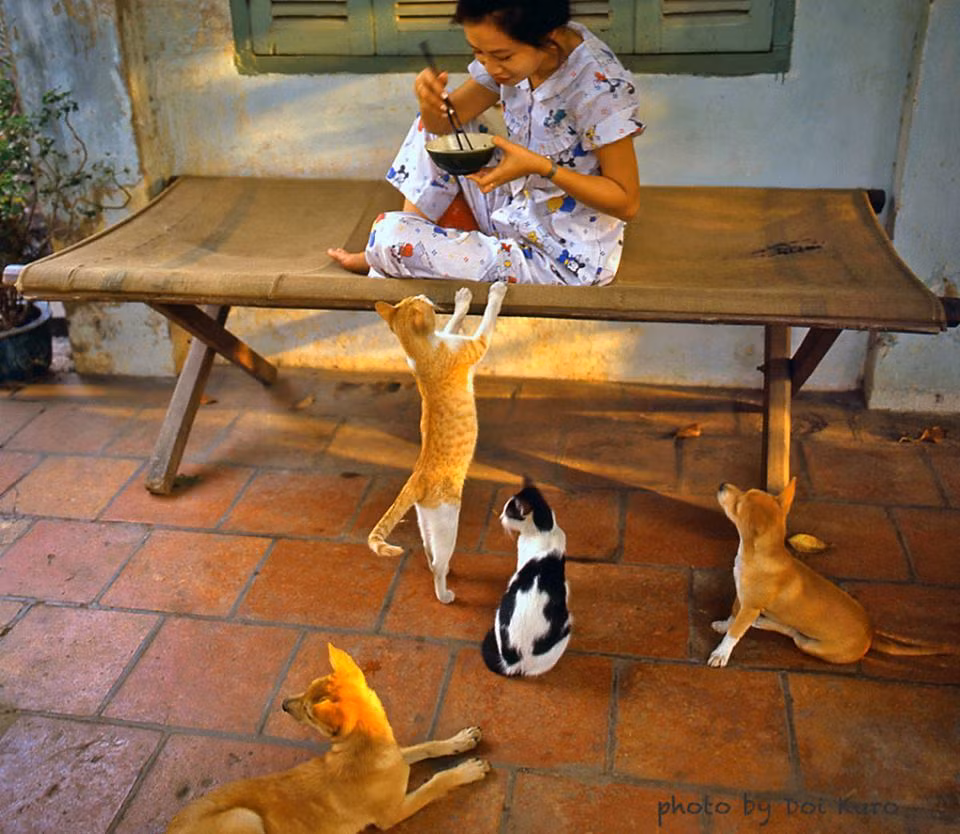 Bữa trưa của cô gái và đàn vật cưng, 1990. Ảnh: Hiroji Kubota.