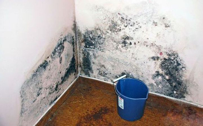 Chang trai khong hut thuoc, phoi nhu “luoi danh ca”... thu pham nam tren tuong-Hinh-2