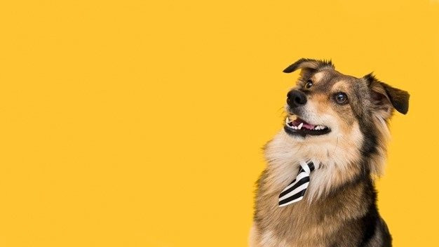 Người trẻ tuổi nếu biết rèn luyện bản thân thì sớm muộn cũng được nhìn nhận và đánh giá cao.