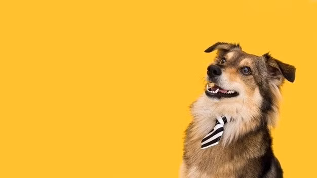 Người trẻ tuổi nếu biết rèn luyện bản thân thì sớm muộn cũng được nhìn nhận và đánh giá cao.