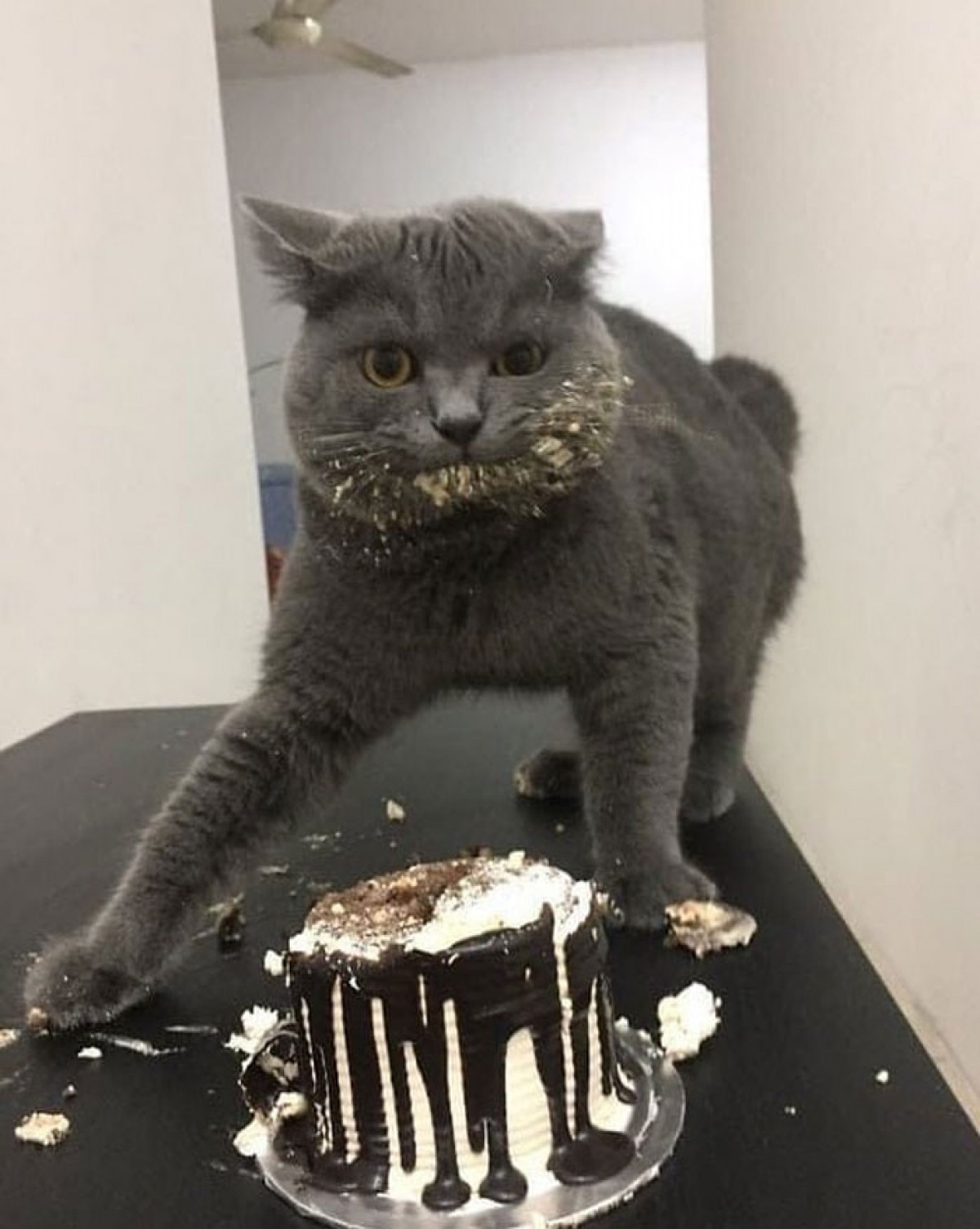 1 giây sau "thảm họa".