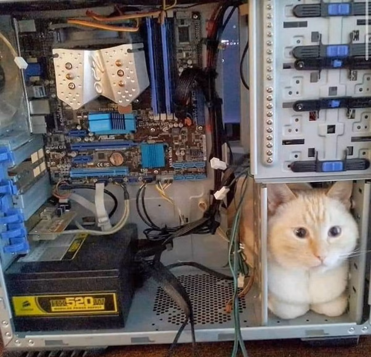 "Linh kiện" máy tính này có vẻ kỳ lạ...