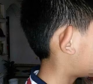 Nguoi co bon tuong mao nay ca doi se ngheo kho-Hinh-2