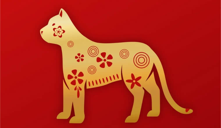  Con giáp Mão: Tử vi học có nói, năm Ất Tỵ 2025 sẽ mang lại cho con giáp Mão cả cơ hội và thách thức. Tùy cơ ứng biến sẽ là chìa khóa để con giáp này hóa giải những điều chưa thuận lợi với họ và tận dụng các cơ hội đến với họ ở mức cao nhất. 