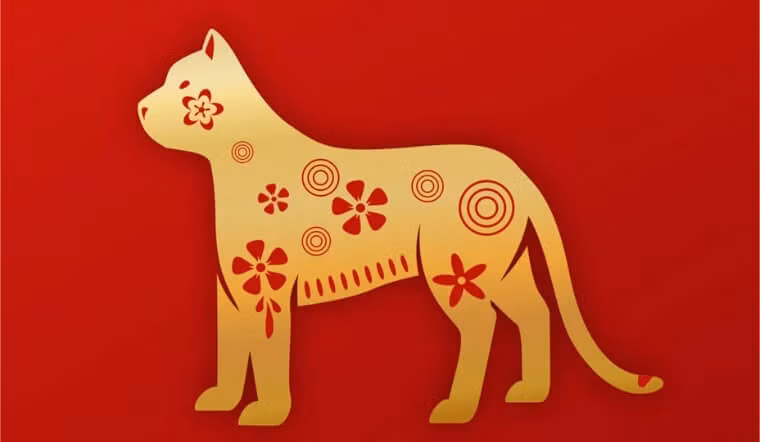  Con giáp Mão: Tử vi học có nói, năm Ất Tỵ 2025 sẽ mang lại cho con giáp Mão cả cơ hội và thách thức. Tùy cơ ứng biến sẽ là chìa khóa để con giáp này hóa giải những điều chưa thuận lợi với họ và tận dụng các cơ hội đến với họ ở mức cao nhất. 