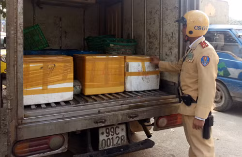 Chiếc xe tải chở nội tạng thối.