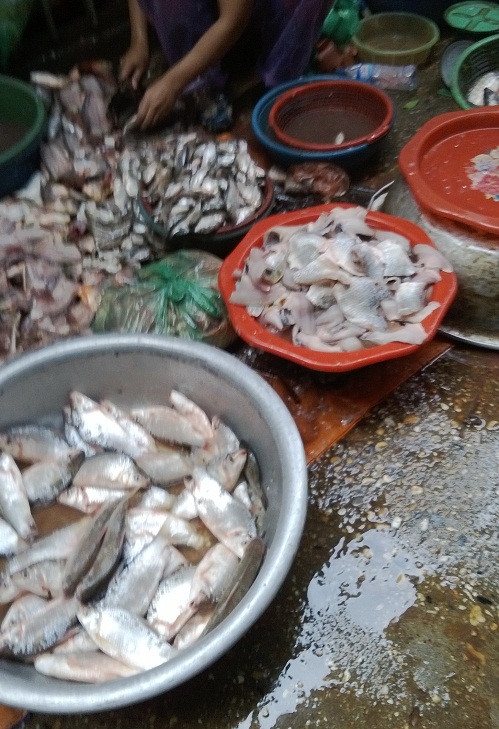 Tận dụng lọc cả những loại cá vụn nhất.