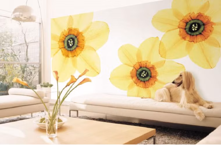 Giấy dán tường được nhiều người yêu thích bởi màu sắc, chi tiết trang trí đa dạng và hiện đại. Tuy nhiên sản phẩm này khá "đỏng đảnh", cần nhiều chiêu mới có thể bền, đẹp như ý muốn.