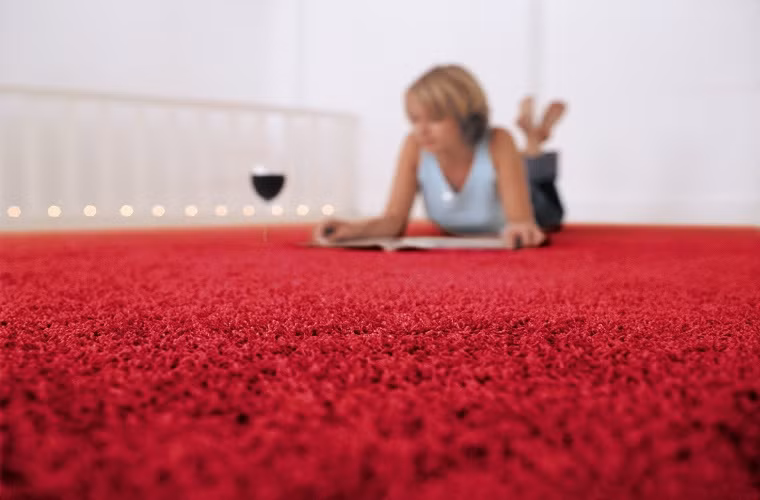 Đồng thời hạn chế các tác nhân gây ra thảm họa mùi hôi như thức ăn hơi ẩm, bụi bẩn, giặt thảm bằng các nước tẩy rửa chuyên dụng, phơi dưới ánh nắng mặt trời để loại bỏ nấm mốc, vi khuẩn gây bệnh. 