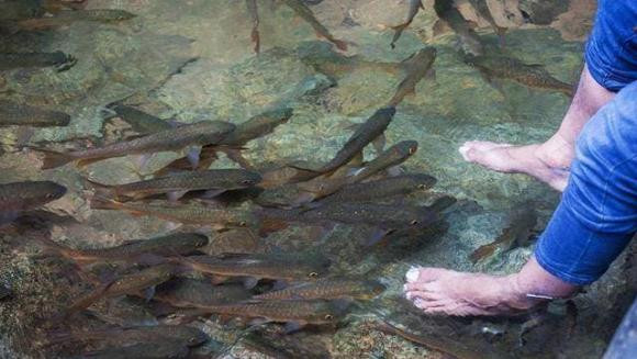 Vi mot truyen thuyet nen khong ai dam an ca o day-Hinh-3