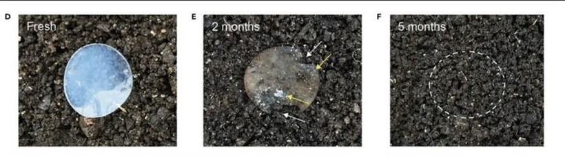 Pin làm từ vỏ cua có thể tái chế... 1000 lần ảnh 2