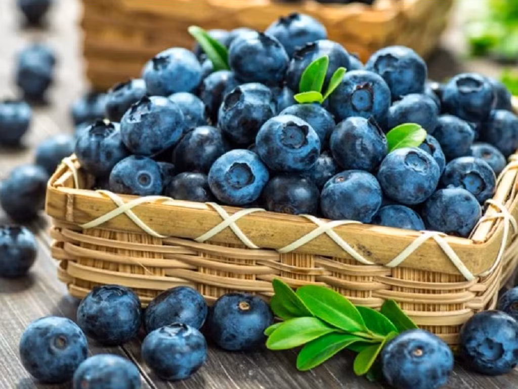 Tri nho suy giam, boi bo ngay cho nao bo 7 loai thuc pham-Hinh-3