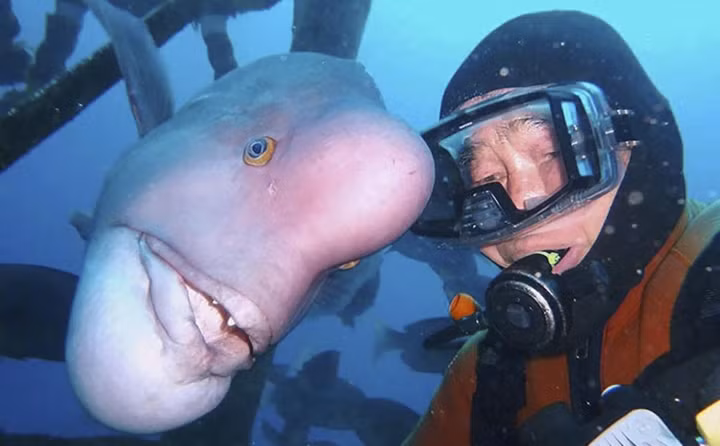 Tinh ban kho tin cua cu ong va 1 chu ca hon 30 nam-Hinh-5