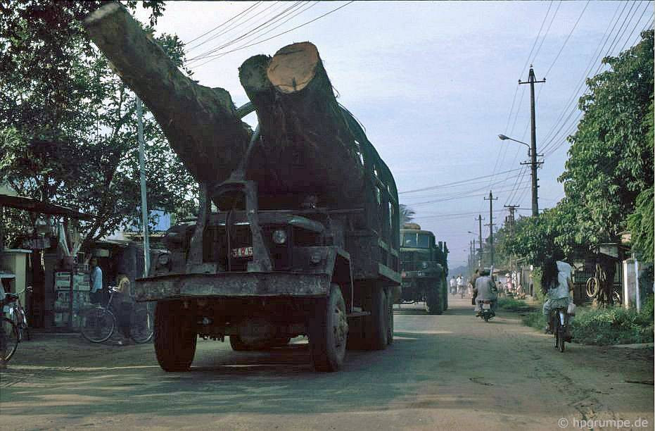 Xe tải chở những thân cây gỗ khổng lồ trên Quốc lộ 1. Mời quý độc giả xem video: Đà Nẵng chuyển mình xứng tầm "anh cả" miền Trung.