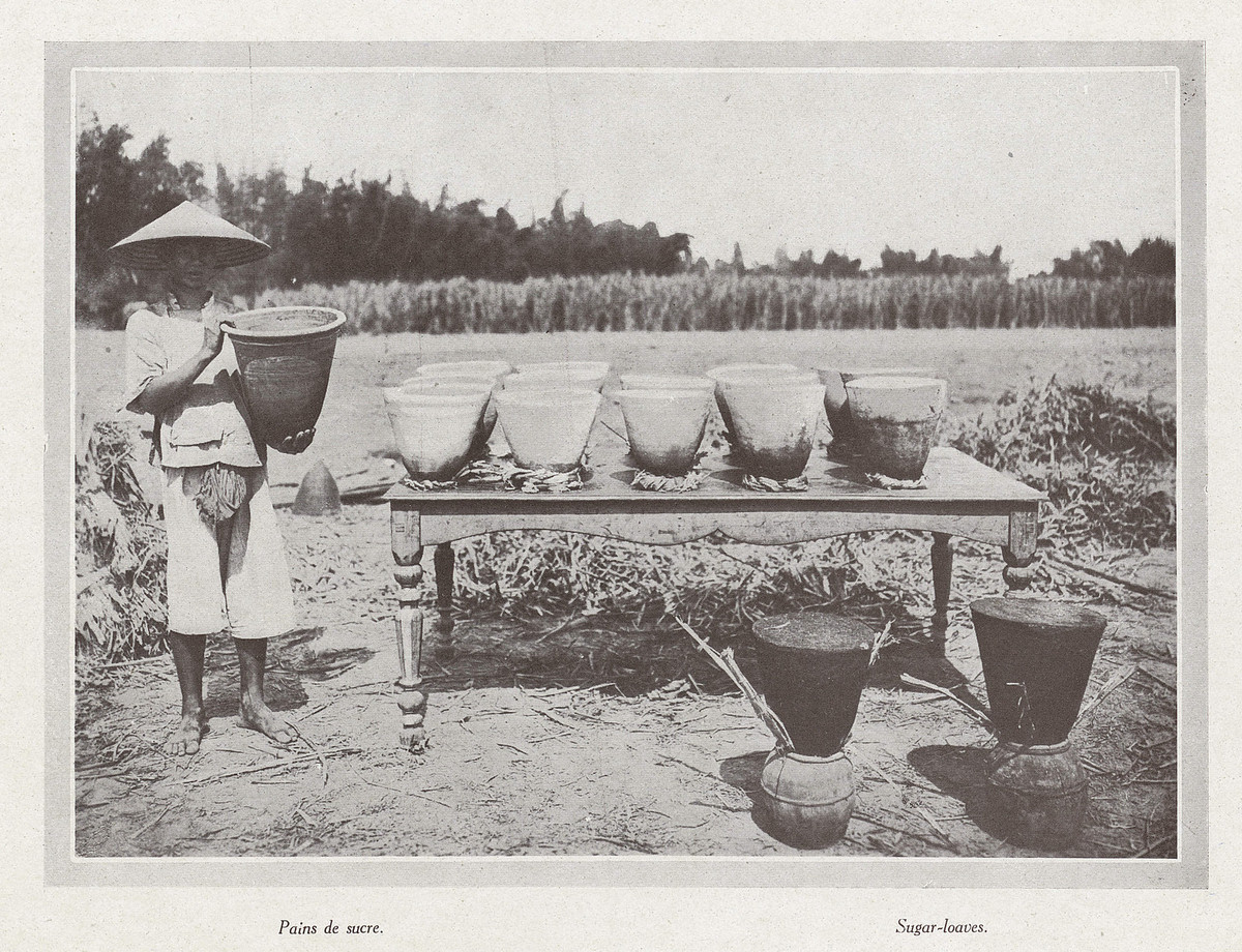 Các bánh mật mía Quảng Ngãi sau khi khô được lấy khỏi khuôn và xếp trên bàn. Sản phẩm đã sẵn sàng được đưa ra chợ bán. Mời quý độc giả xem video: Thách thức gìn giữ văn minh sông Hồng. Nguồn: VTC10.